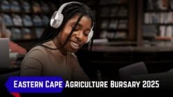 Eastern Cape Agriculture Department Opens Bursary Program for 2025 Students – Offers New Study Opportunities
