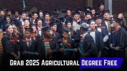 Maize Trust Bursary 2025 Opens Doors for Students Seeking Full Study Funding – Apply Now!