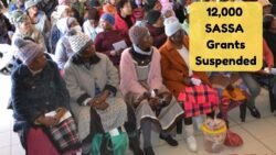12,000 SASSA Grants Suspended Ahead of September 10 - Beneficiaries Urged to Check If They’re Affected